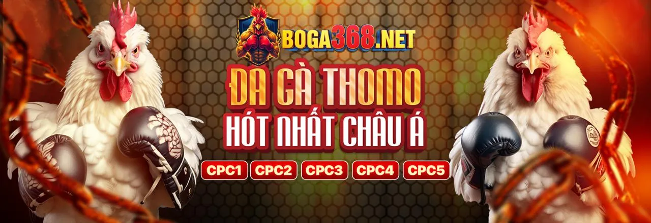 Nghiên cứu chiến kê