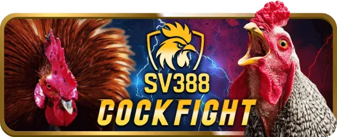 Giao diện thân thiện của ứng dụng 88vv Casino
